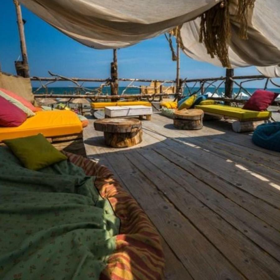 T&V Residence Mamaia Nord ナボダリ エクステリア 写真